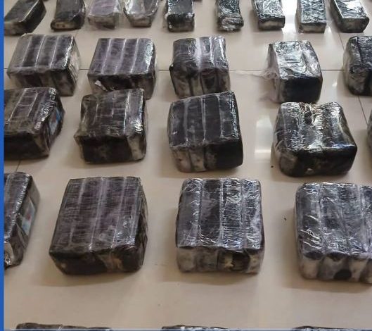 ضبط.كمية من المخدرات وصلت 61 كلغ وتفكيك شبكة تهريب